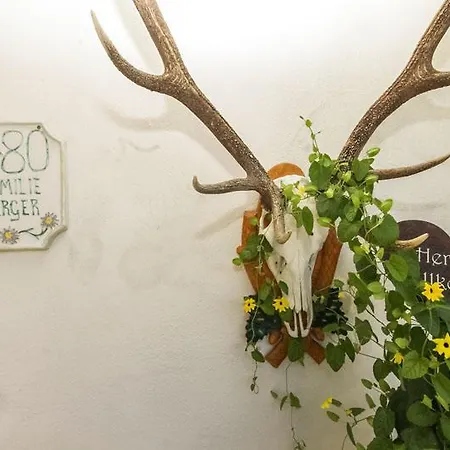 Bed & Breakfast Haus Edelweiss 3*