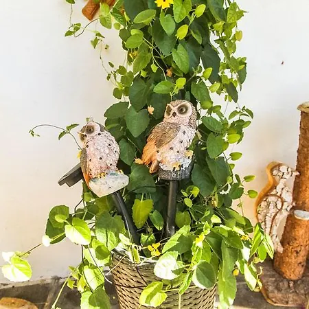 Haus Edelweiss Bed & Breakfast 3*