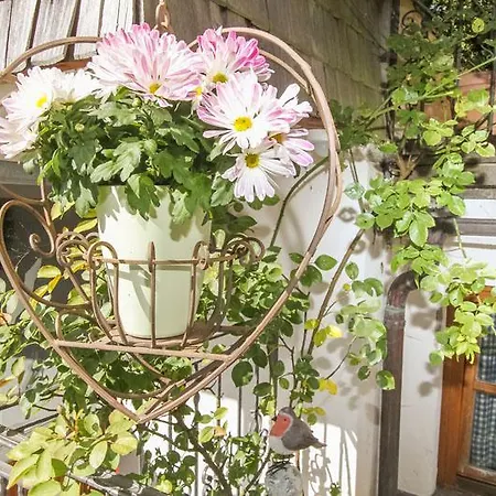 Haus Edelweiss Unken