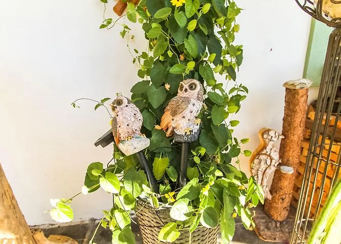 Haus Edelweiss Alojamento de Acomodação e Pequeno-almoço 3*